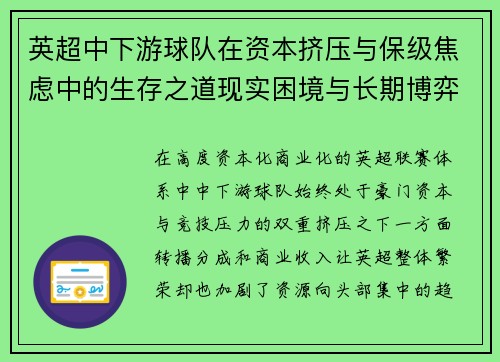 英超中下游球队在资本挤压与保级焦虑中的生存之道现实困境与长期博弈