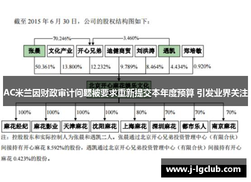 AC米兰因财政审计问题被要求重新提交本年度预算 引发业界关注