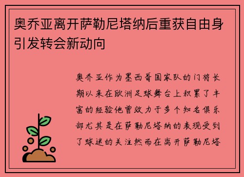奥乔亚离开萨勒尼塔纳后重获自由身引发转会新动向