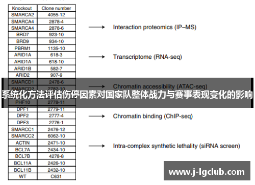 系统化方法评估伤停因素对国家队整体战力与赛事表现变化的影响
