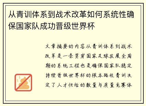 从青训体系到战术改革如何系统性确保国家队成功晋级世界杯